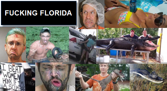 fucking florida banner